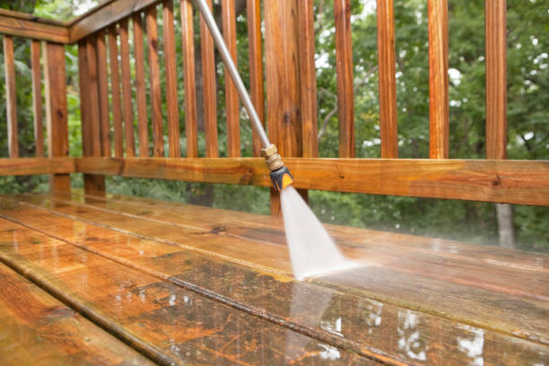 Professional Pressure washing in Taylor Creek, OH